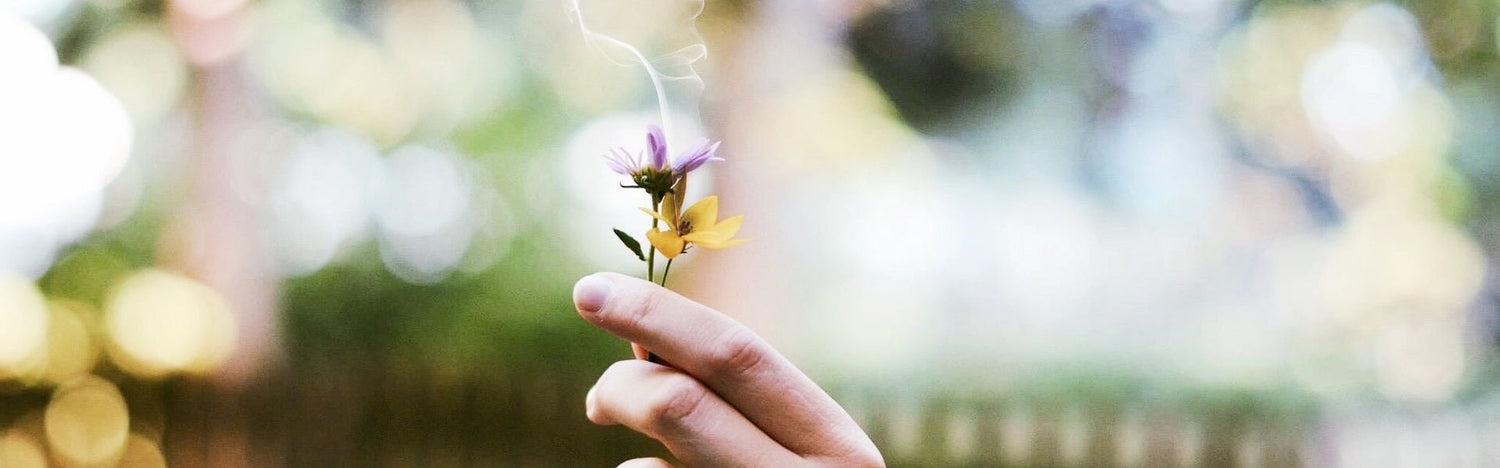 Interesting Facts About Incense…