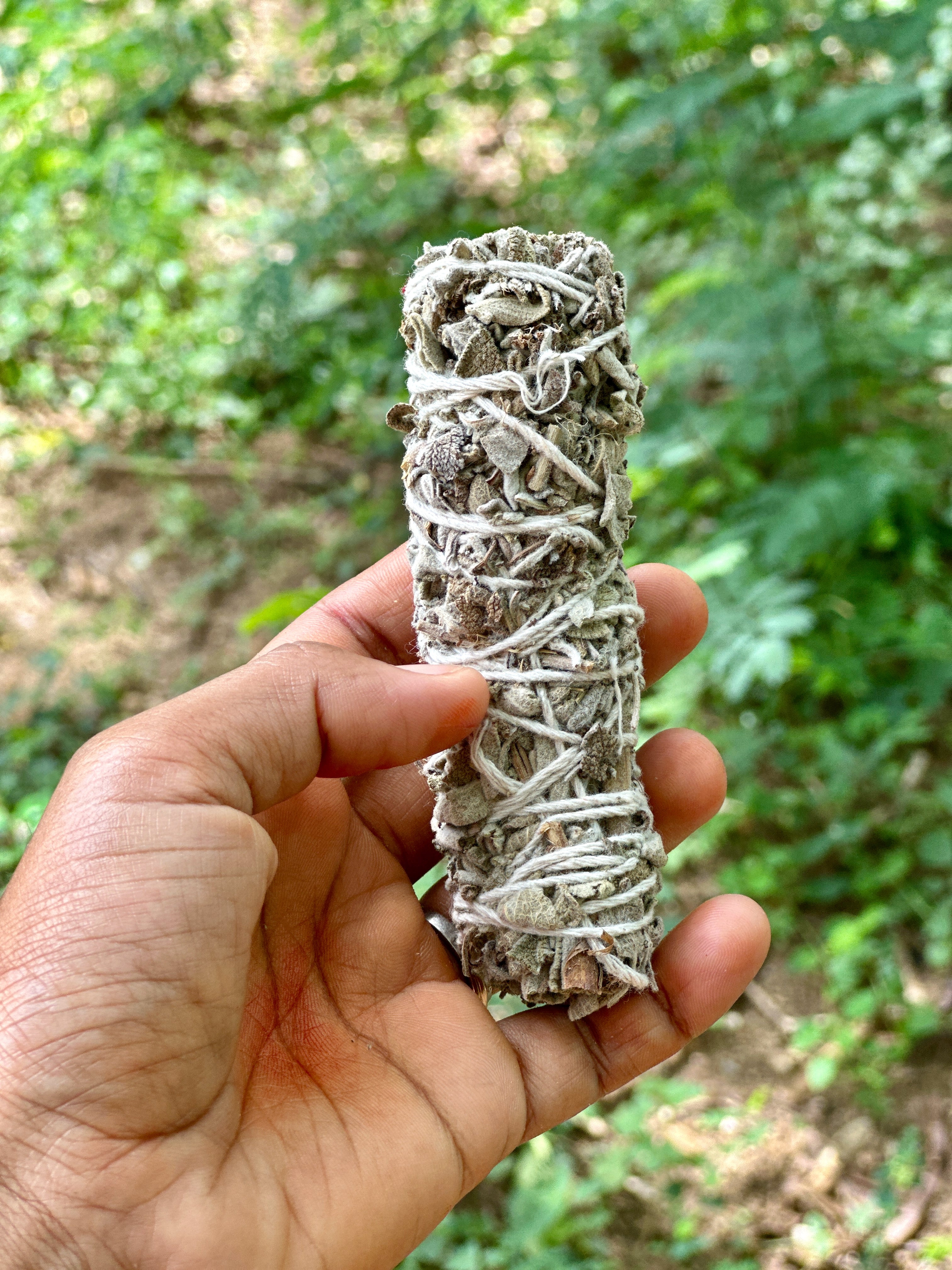 California White Sage (2-pack)