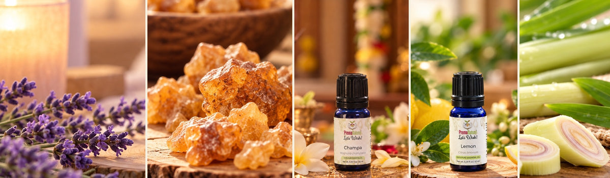PremaNature essential oils: lavender, benzoin resin, Champa and Lemon 10 mL bottles, and fresh lemongrass