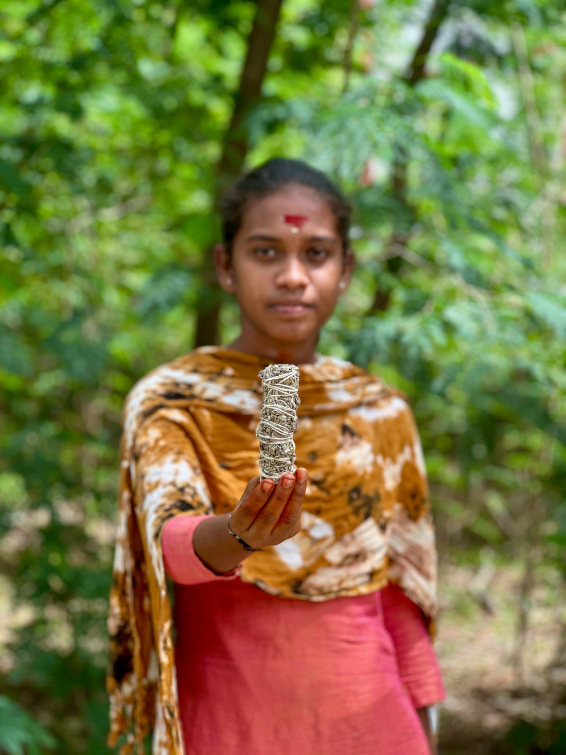 California White Sage (2-pack)