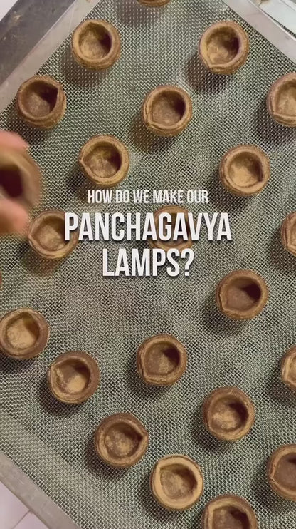 Panchagavya Lamps