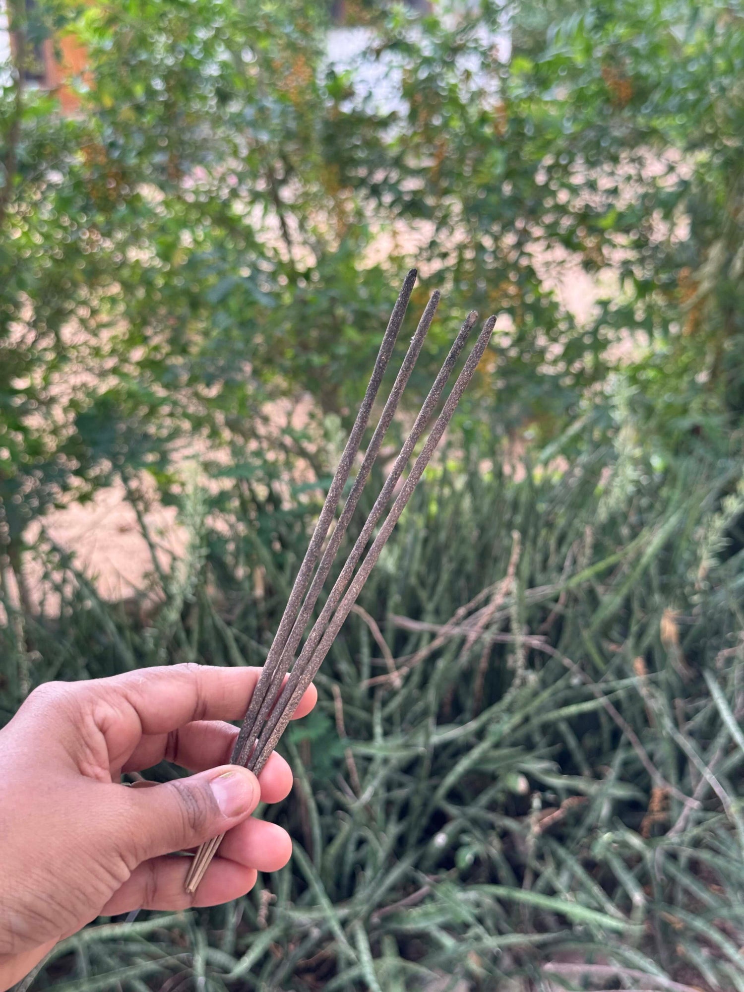 Benzoin — hand-rolled incense sticks, sent unpackaged