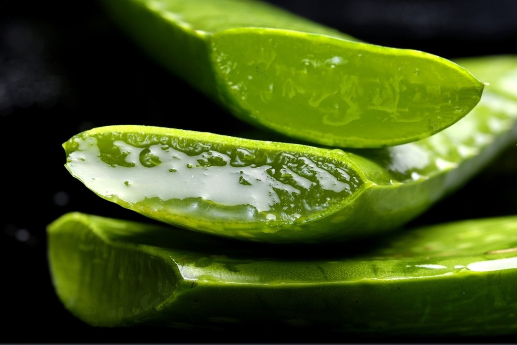 Aloe Vera leaves (0.5 kg)