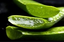 Aloe Vera leaves (0.5 kg)