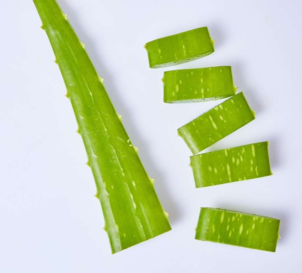 Aloe Vera leaves (0.5 kg)